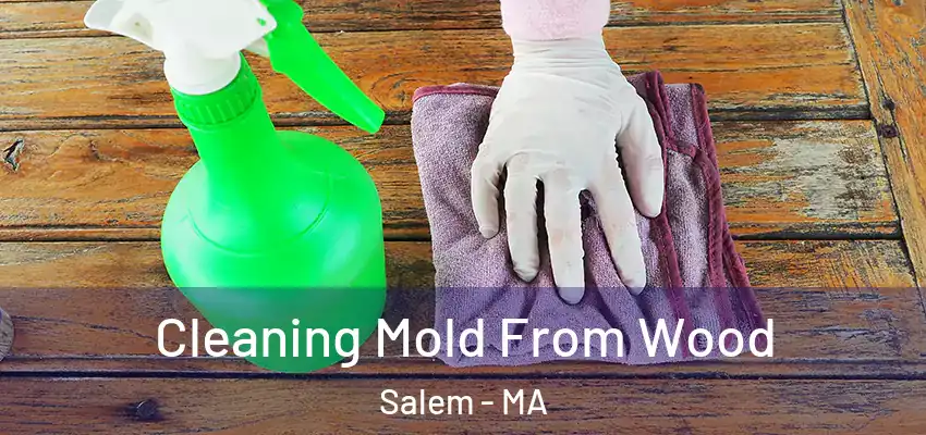  Cleaning Mold From Wood Salem - MA