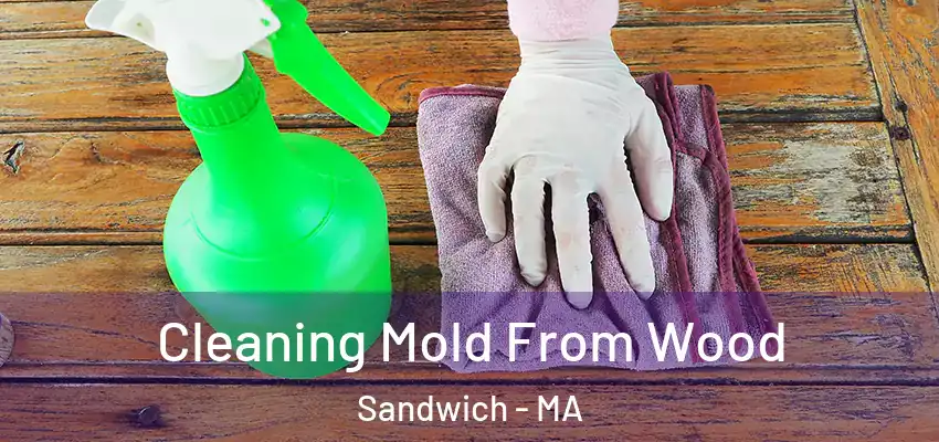  Cleaning Mold From Wood Sandwich - MA