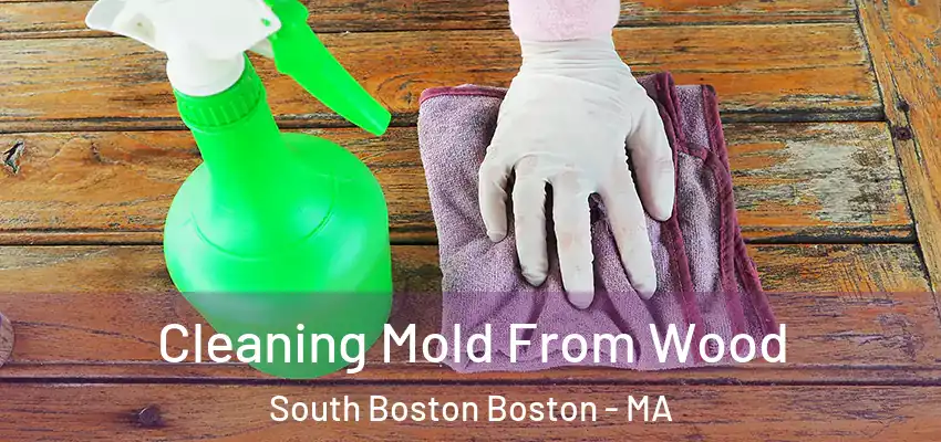 Cleaning Mold From Wood South Boston Boston - MA