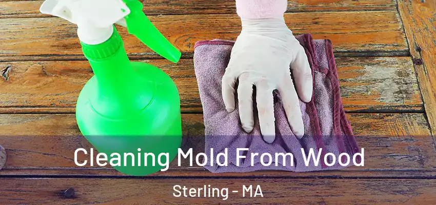 Cleaning Mold From Wood Sterling - MA