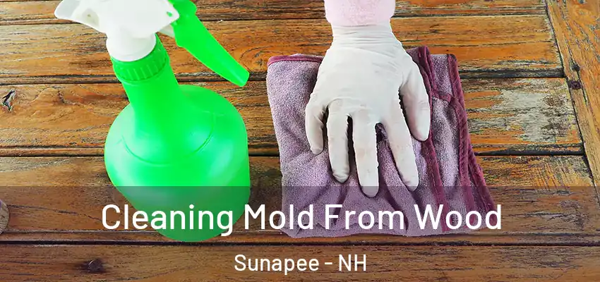  Cleaning Mold From Wood Sunapee - NH