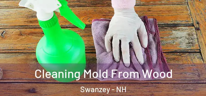 Cleaning Mold From Wood Swanzey - NH