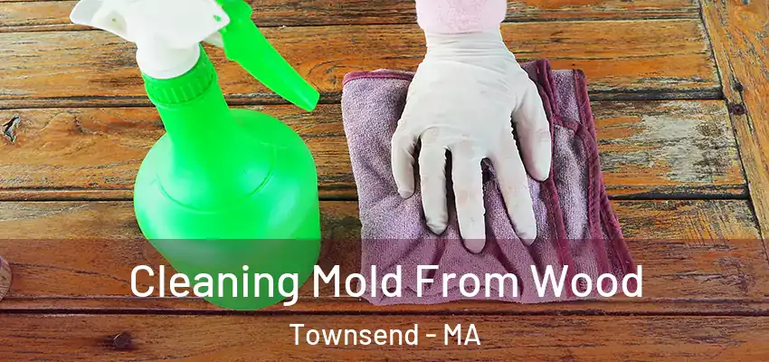 Cleaning Mold From Wood Townsend - MA