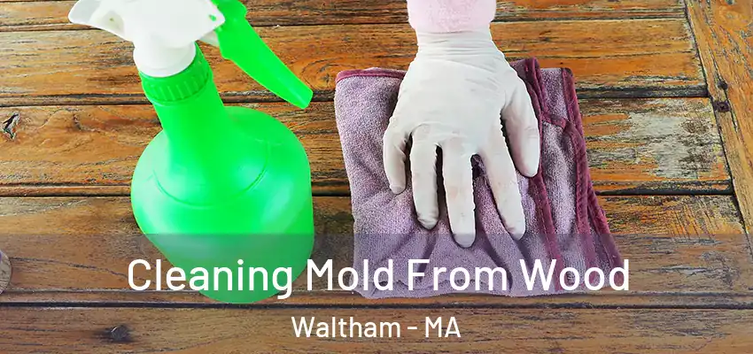  Cleaning Mold From Wood Waltham - MA