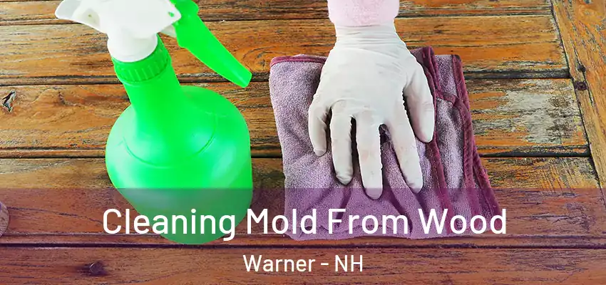 Cleaning Mold From Wood Warner - NH
