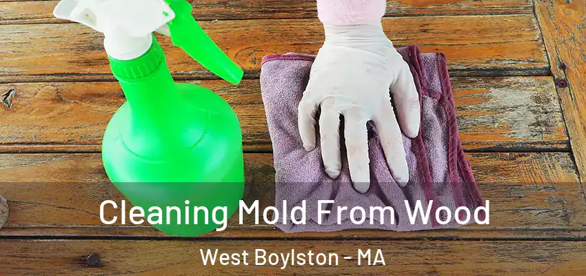 Cleaning Mold From Wood West Boylston - MA