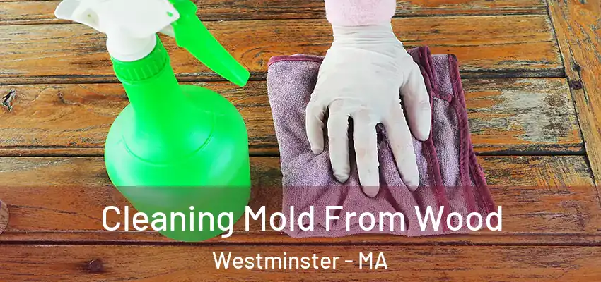  Cleaning Mold From Wood Westminster - MA