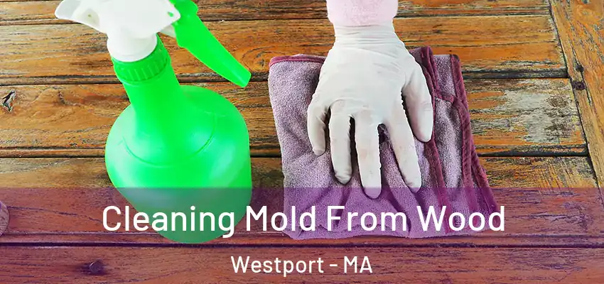  Cleaning Mold From Wood Westport - MA