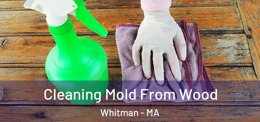  Cleaning Mold From Wood Whitman - MA