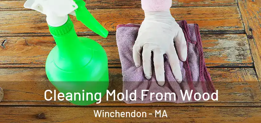  Cleaning Mold From Wood Winchendon - MA