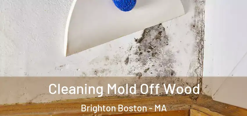 Cleaning Mold Off Wood Brighton Boston - MA