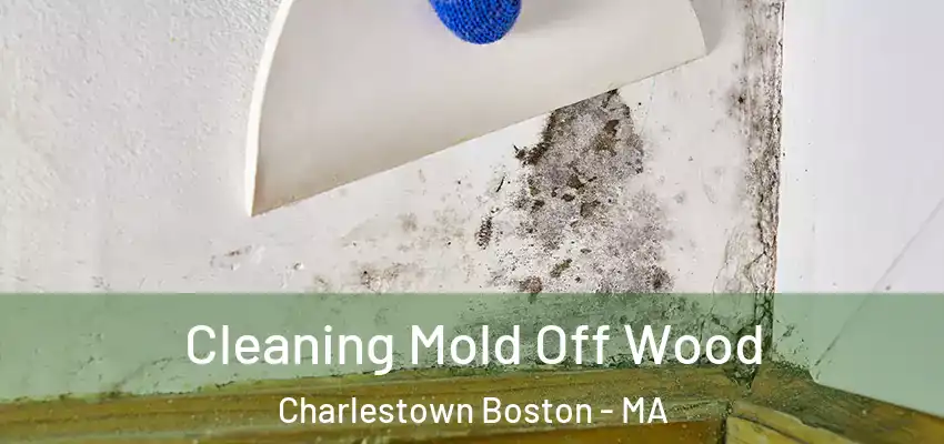 Cleaning Mold Off Wood Charlestown Boston - MA