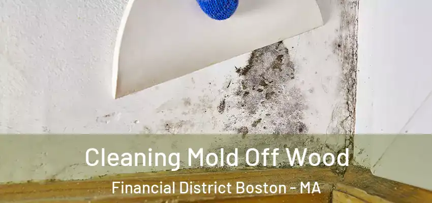 Cleaning Mold Off Wood Financial District Boston - MA