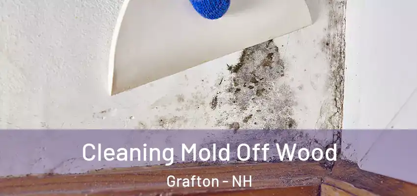  Cleaning Mold Off Wood Grafton - NH