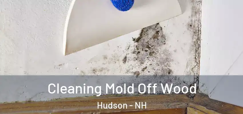  Cleaning Mold Off Wood Hudson - NH
