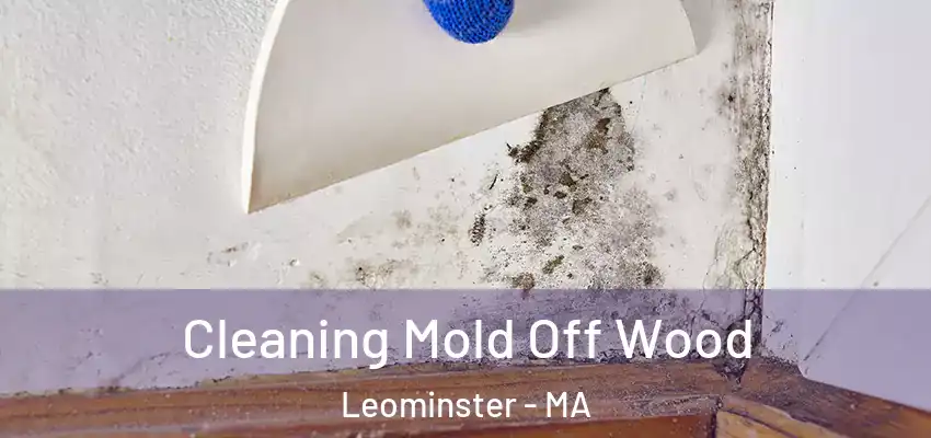 Cleaning Mold Off Wood Leominster - MA