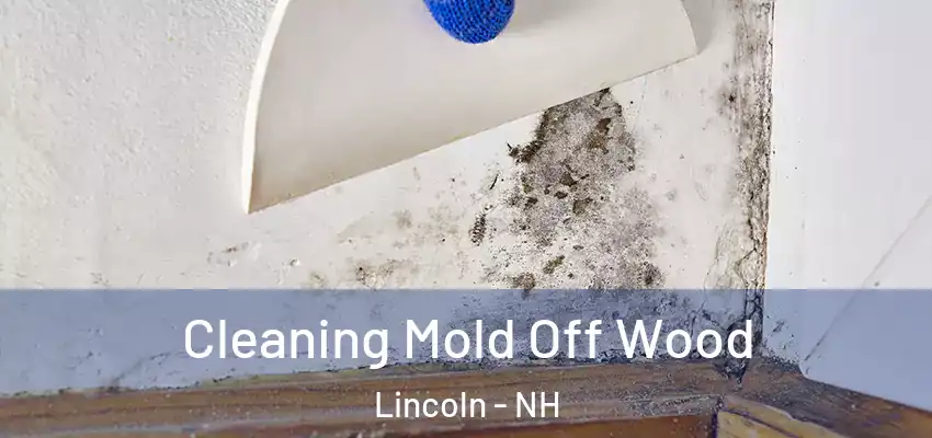  Cleaning Mold Off Wood Lincoln - NH