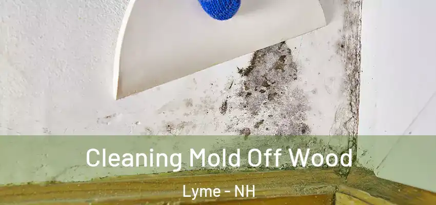  Cleaning Mold Off Wood Lyme - NH