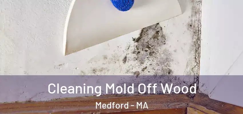 Cleaning Mold Off Wood Medford - MA