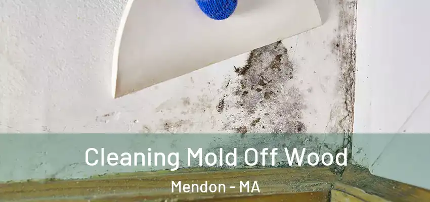 Cleaning Mold Off Wood Mendon - MA