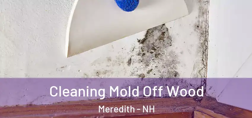 Cleaning Mold Off Wood Meredith - NH