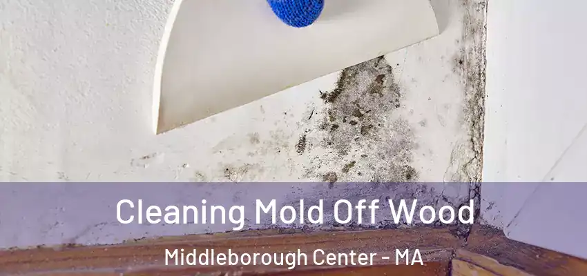 Cleaning Mold Off Wood Middleborough Center - MA
