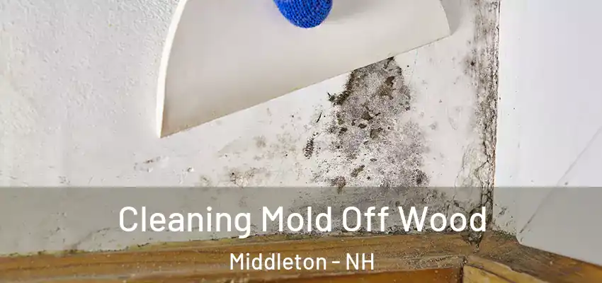  Cleaning Mold Off Wood Middleton - NH