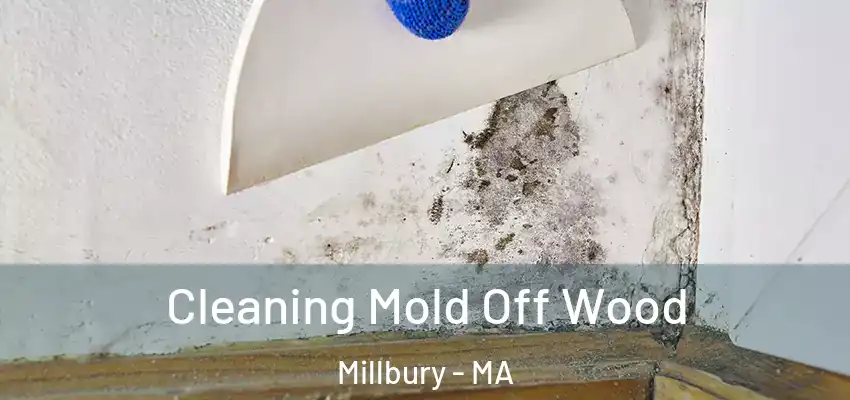 Cleaning Mold Off Wood Millbury - MA