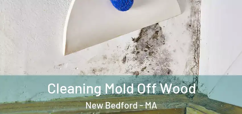 Cleaning Mold Off Wood New Bedford - MA