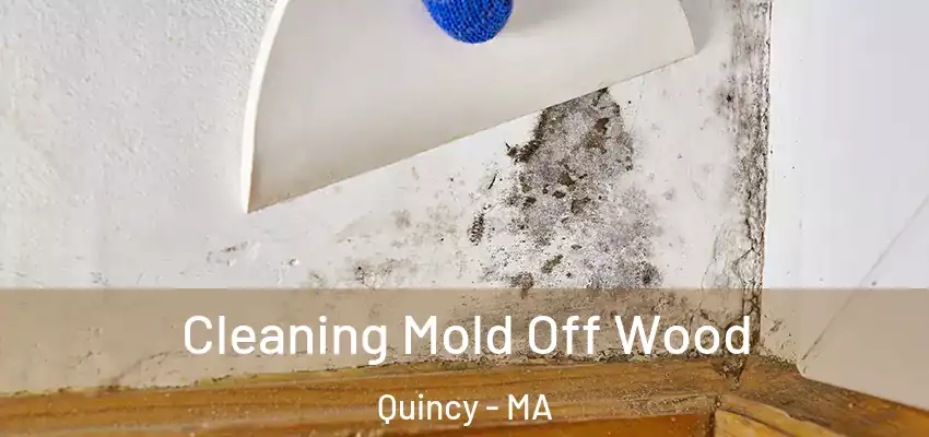  Cleaning Mold Off Wood Quincy - MA