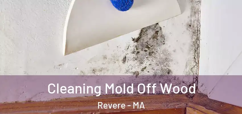 Cleaning Mold Off Wood Revere - MA