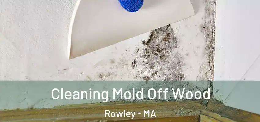  Cleaning Mold Off Wood Rowley - MA