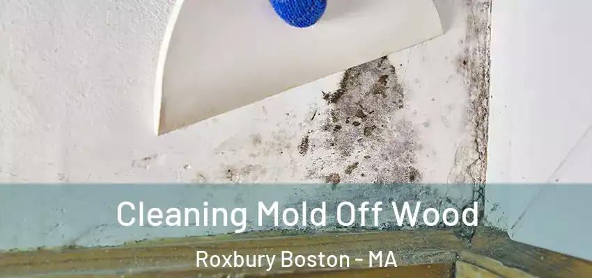 Cleaning Mold Off Wood Roxbury Boston - MA