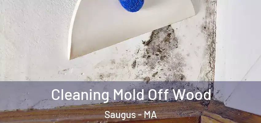  Cleaning Mold Off Wood Saugus - MA