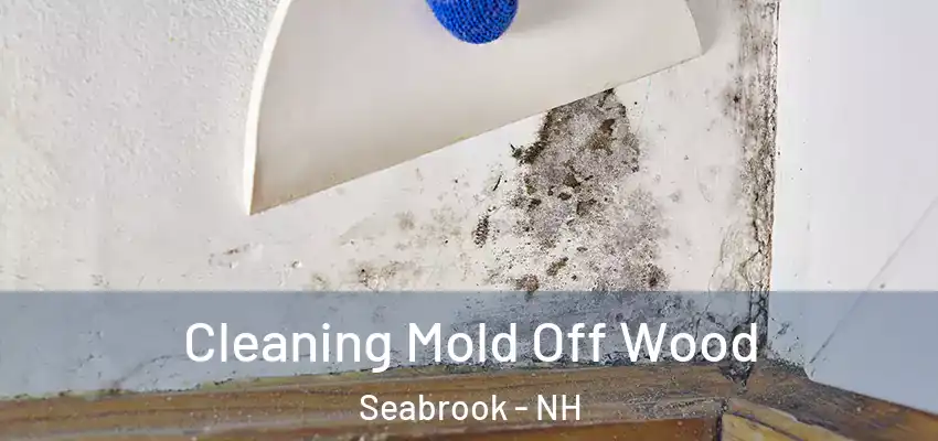  Cleaning Mold Off Wood Seabrook - NH
