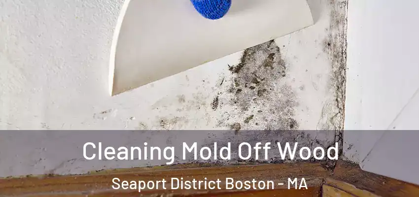 Cleaning Mold Off Wood Seaport District Boston - MA