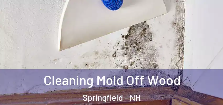 Cleaning Mold Off Wood Springfield - NH