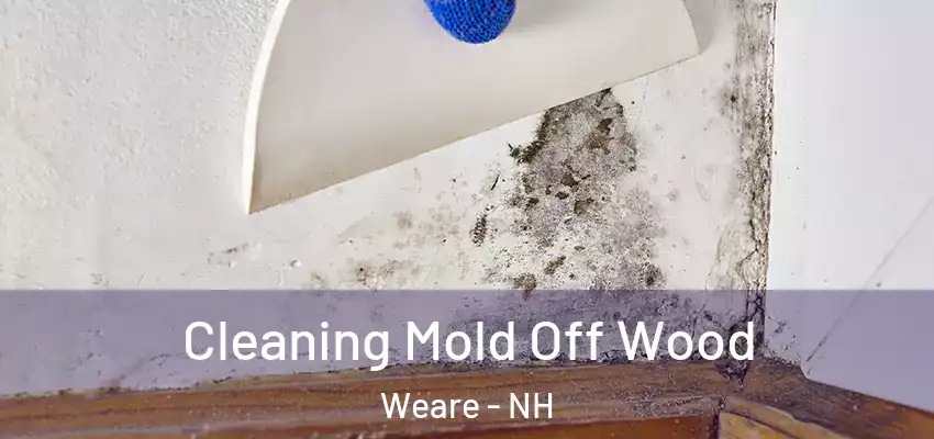  Cleaning Mold Off Wood Weare - NH