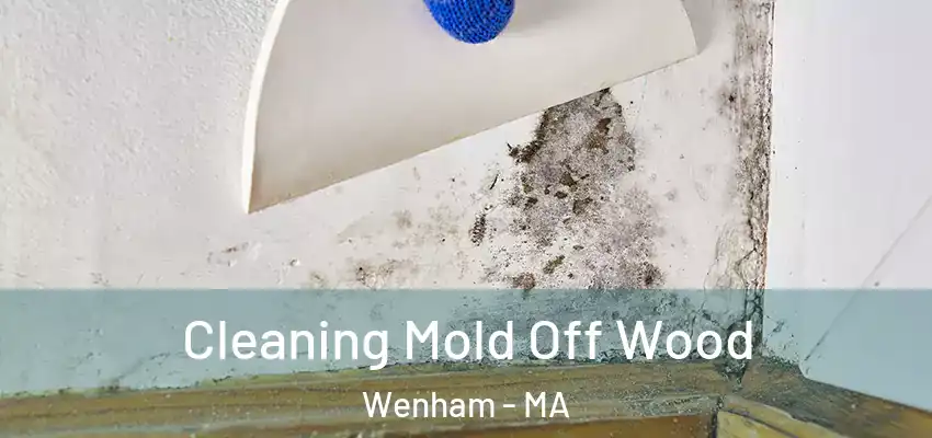  Cleaning Mold Off Wood Wenham - MA