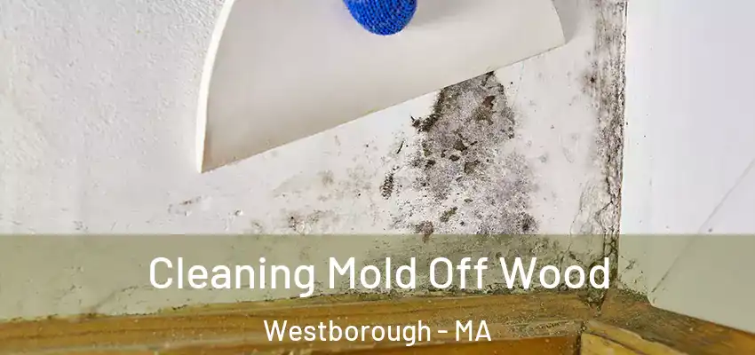 Cleaning Mold Off Wood Westborough - MA