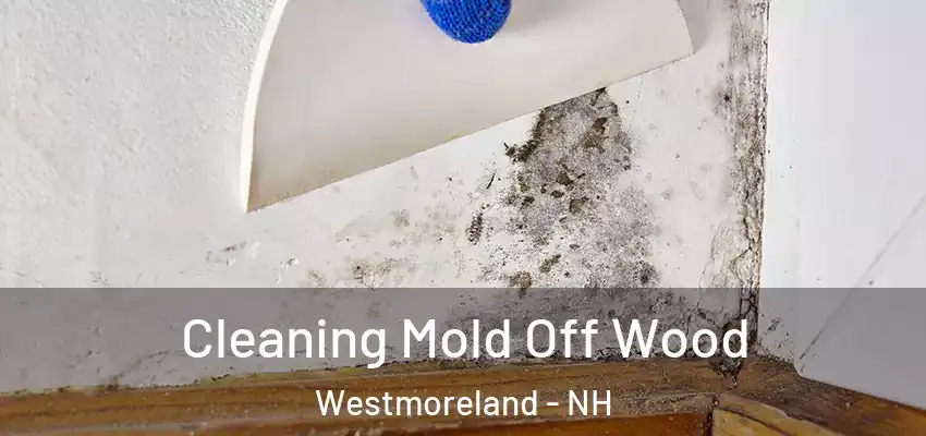 Cleaning Mold Off Wood Westmoreland - NH