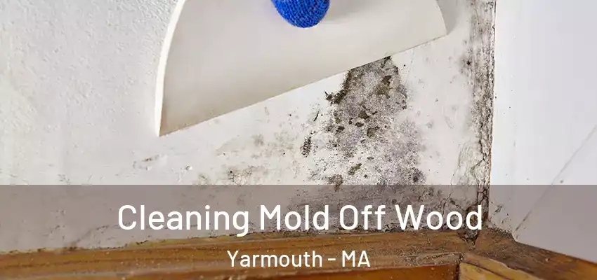 Cleaning Mold Off Wood Yarmouth - MA