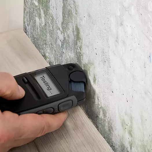 Trusted Mold Testing Experts in Back Bay Boston, MA