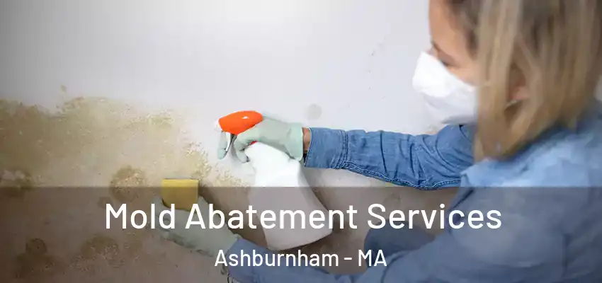 Mold Abatement Services Ashburnham - MA
