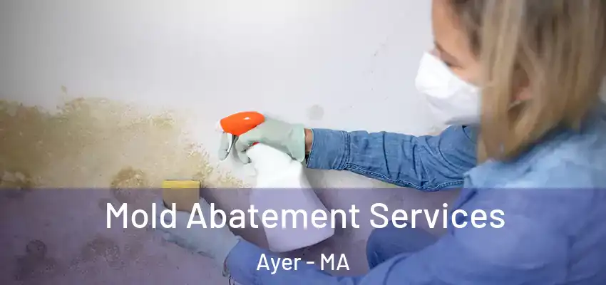 Mold Abatement Services Ayer - MA