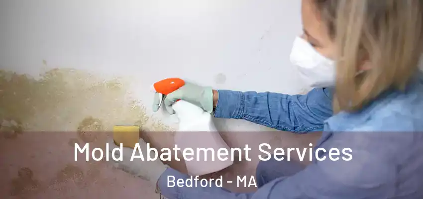 Mold Abatement Services Bedford - MA