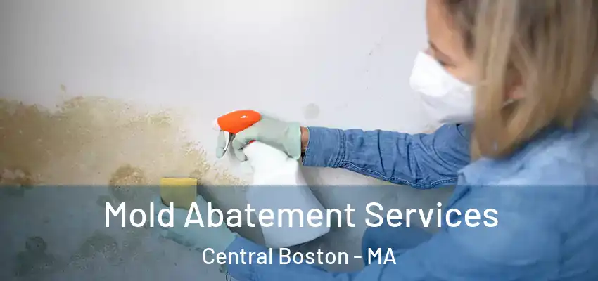  Mold Abatement Services Central Boston - MA