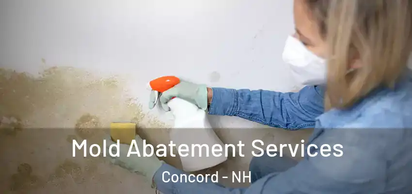 Mold Abatement Services Concord - NH