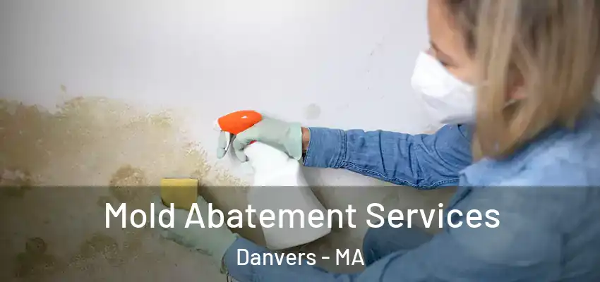 Mold Abatement Services Danvers - MA