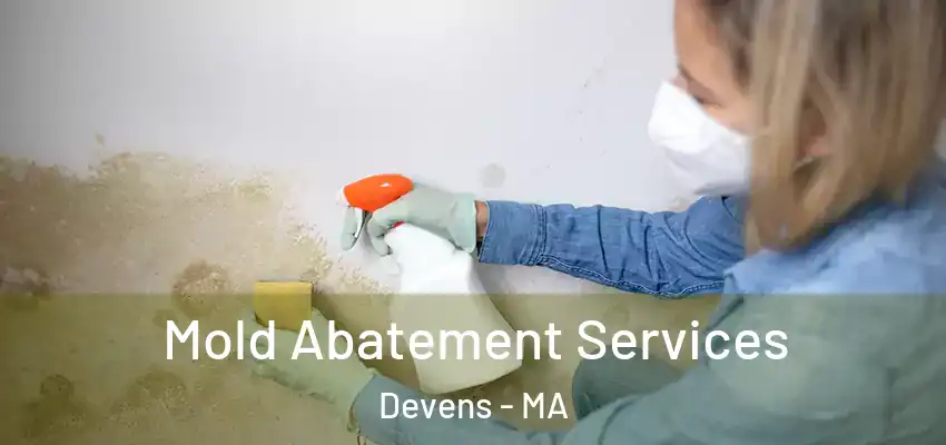  Mold Abatement Services Devens - MA